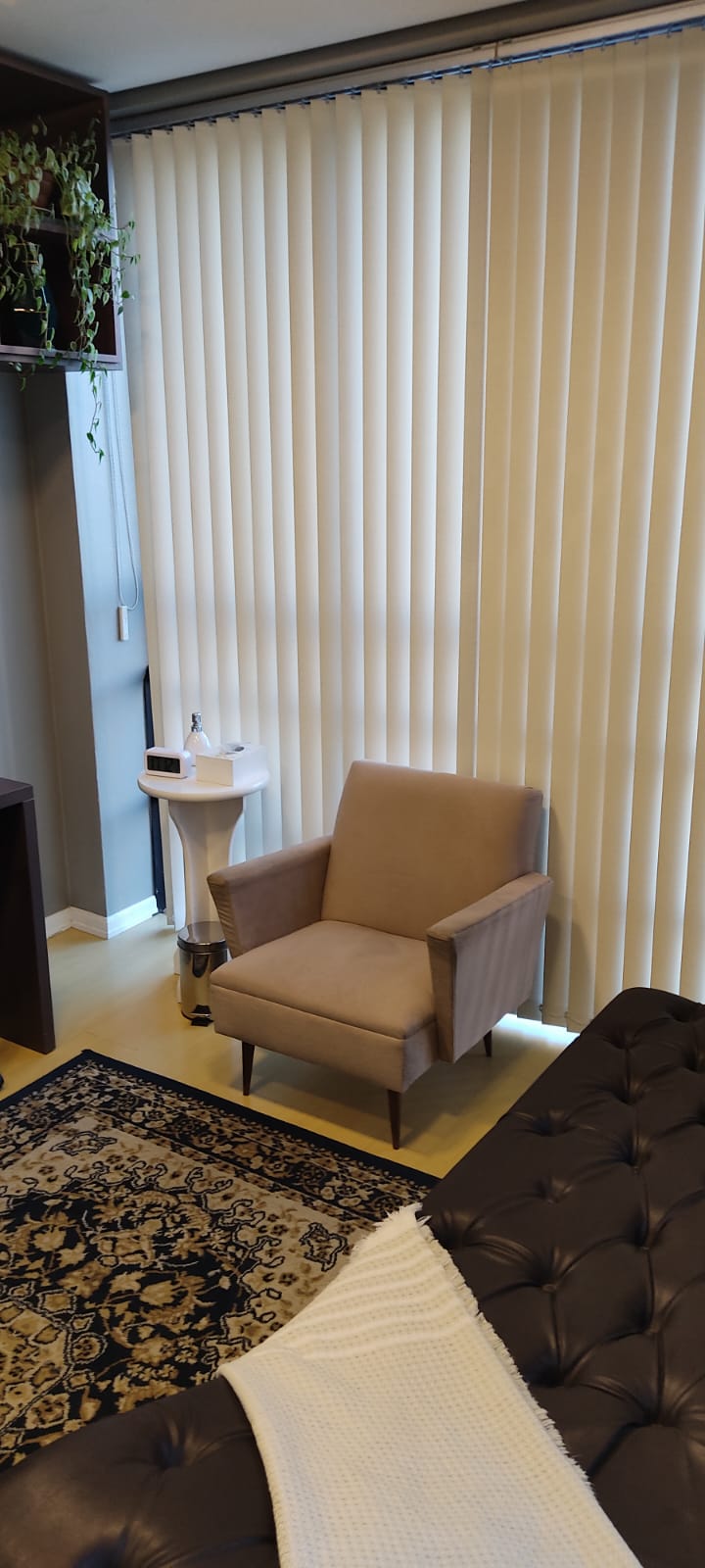 Detalhe acolhedor do consultório de psicanálise